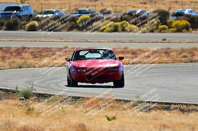 media/Nov-16-2024-Extreme Speed (Sat) [[6587d07cc4]]/Purple Group/Session 2 (Turns 3 and 5)/